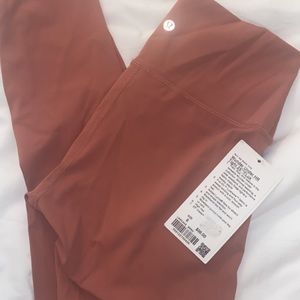 Wunder Under HR 25 briar rose